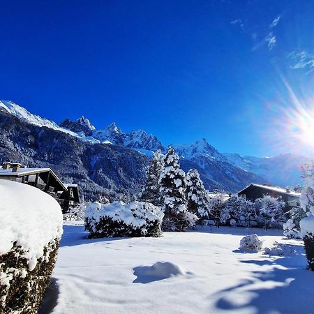 Chamonix Appartement Vue Mont Blanc Avec Jardin Экстерьер фото
