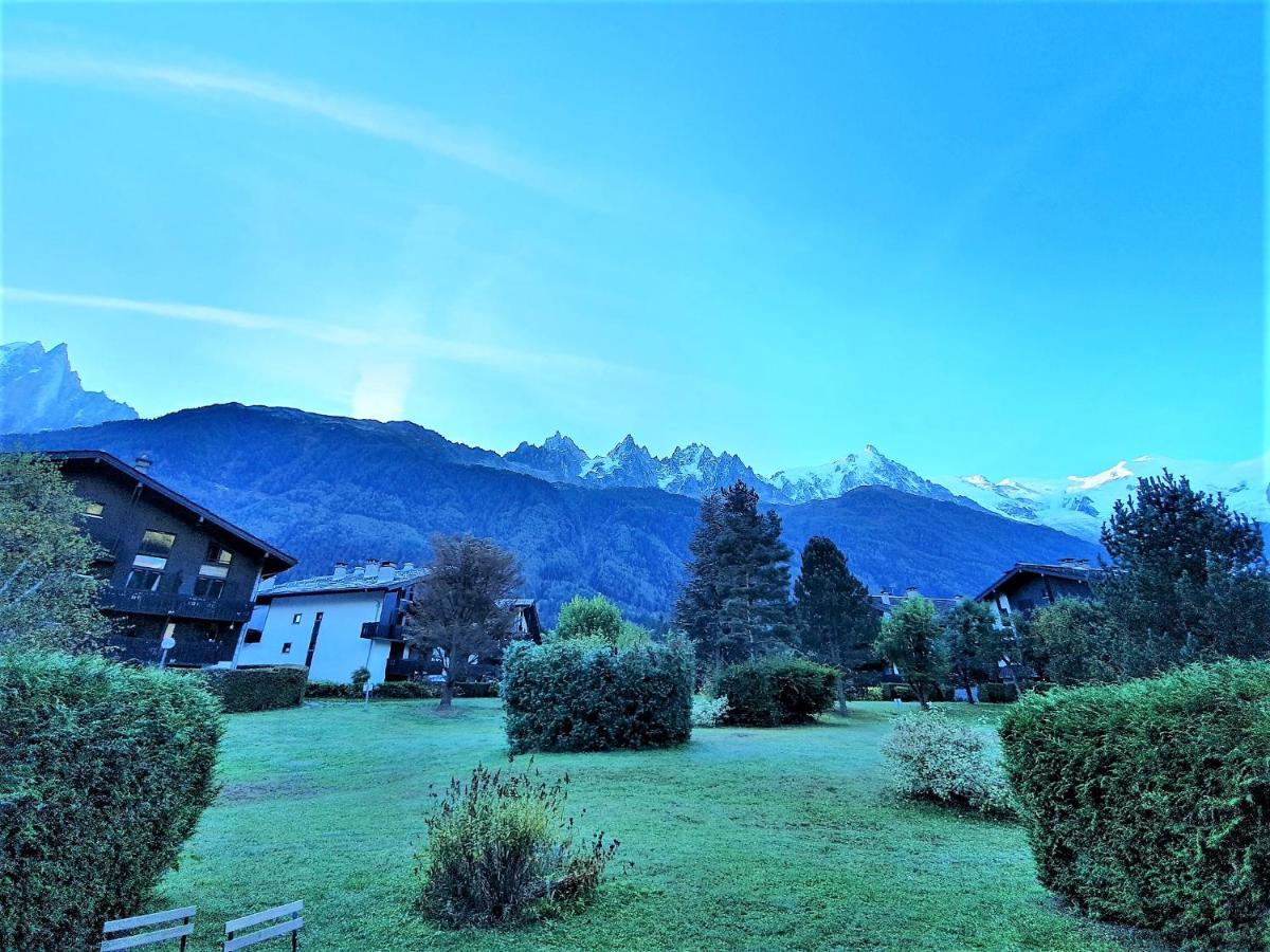 Chamonix Appartement Vue Mont Blanc Avec Jardin Экстерьер фото