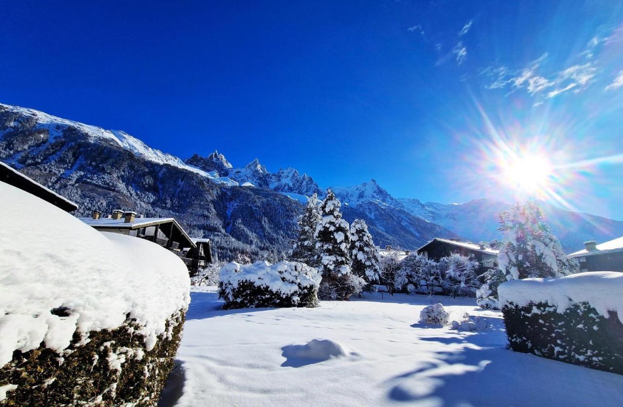 Chamonix Appartement Vue Mont Blanc Avec Jardin Экстерьер фото