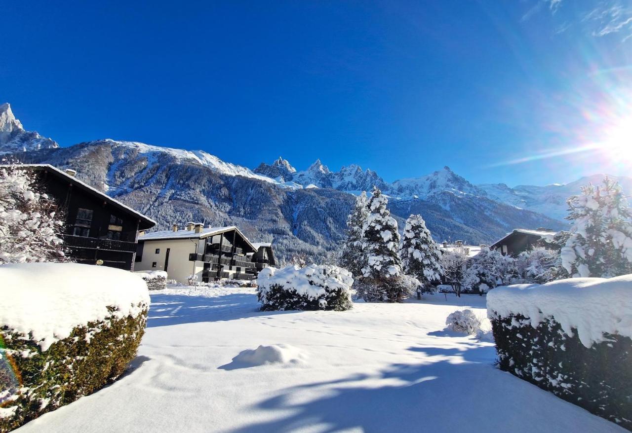 Chamonix Appartement Vue Mont Blanc Avec Jardin Экстерьер фото